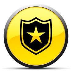 Shield icon on a round button - CurveSeries