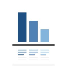 Bar Graph icon on a white background - RoyalSeries N50