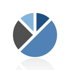 Pie Chart icon on a white background - RoyalSeries