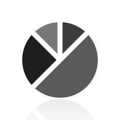 Pie Chart icon on a white background - PrimeSeries