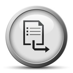 Document icon on a silver button - Silver Series