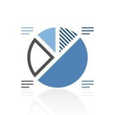 Pie Chart icon on a white background - Royal Series N3
