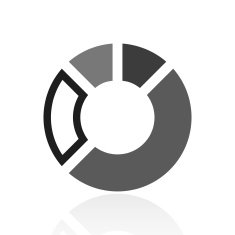 Donut Chart icon on a white background - Prime Series N2
