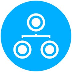 Organization Chart icon on a round button - Round Series N3