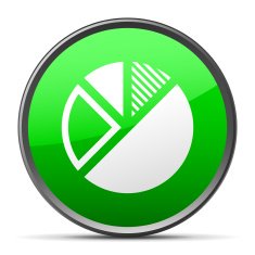 Pie Chart icon on a round button - Slender Series N6