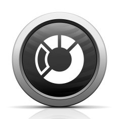 Donut Chart icon on a round button N2