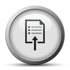 Document icon on a silver button N2
