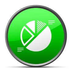 Pie Chart icon on a round button N9