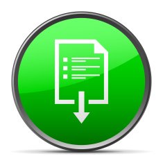 Document icon on a round button N24