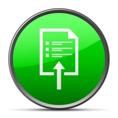 Document icon on a round button N25