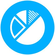Pie Chart icon on a round button N14