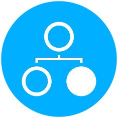 Flowchart icon on a round button N47