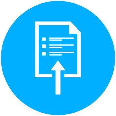 Document icon on a round button N40