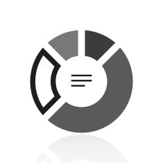 Donut Chart icon on a white background N11