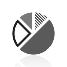 Pie Chart icon on a white background N11