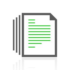 Document icon on a white background N41