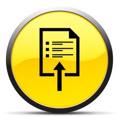 Document icon on a round button N55