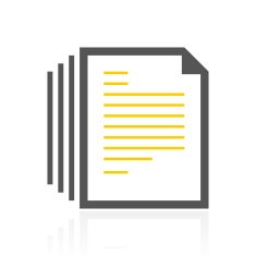 Document icon on a white background N46