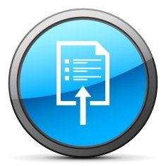 Document icon on a round button N60