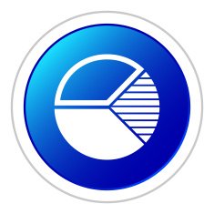 Pie Chart icon on a round button N20