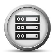Network Server icon on a silver button N3