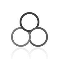 Venn Diagram icon on a white background N15