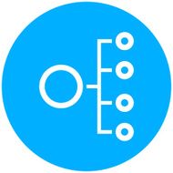 Organization Chart icon on a round button N22