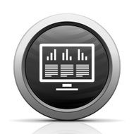 Computer Monitor icon on a round button N53