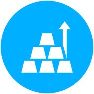 Gold icon on a round button N5