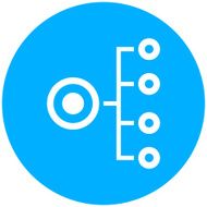 Organization Chart icon on a round button N42