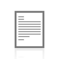 Document icon on a white background N99