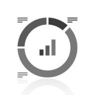 Donut Chart icon on a white background N60