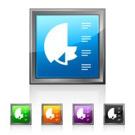 Coxcomb Chart icon on square buttons N13