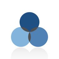 Venn Diagram icon on a white background N34