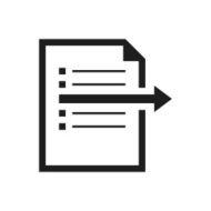 Document icon on a white background N110