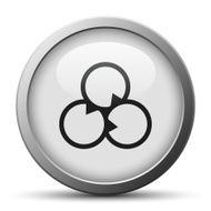 Venn Diagram icon on a silver button N8