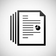 Document icon on a white background N117