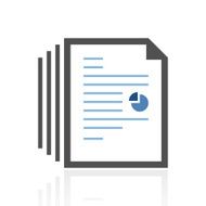 Document icon on a white background N119