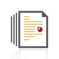 Document icon on a white background N121