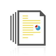 Document icon on a white background N127