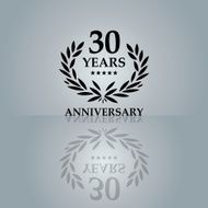 Thirty Years Anniversary Emblem N6