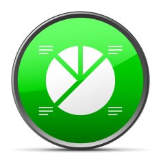 Pie Chart icon on a round button N21