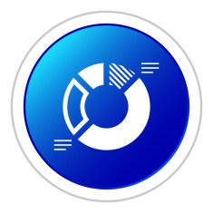 Donut Chart icon on a round button N19