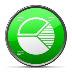 Pie Chart icon on a round button N23