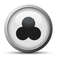 Venn Diagram icon on a silver button N2