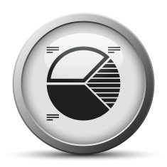 Pie Chart icon on a silver button N3