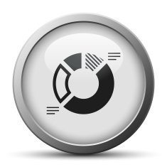Donut Chart icon on a silver button N3