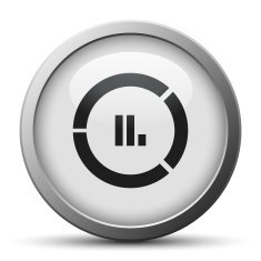 Donut Chart icon on a silver button N4