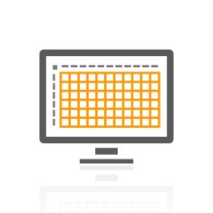 Computer Monitor icon on a white background N17