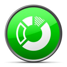 Donut Chart icon on a round button N37